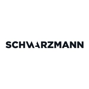 Schwarzmann LLC: Designing Inspiring Spaces