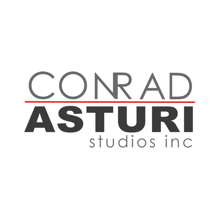 Exceptional Contemporary Residential Designs - Conrad Asturi Studios Inc