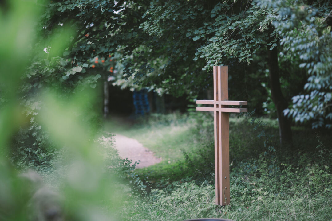 Sculptural forms of Martin House Chapel amidst tranquil gardens.