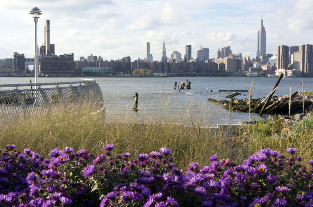 Community gathering spaces within the park